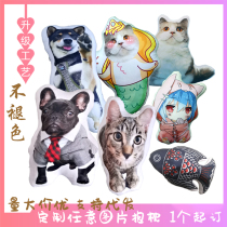 Pet Profiled Diy Personnalisé Pillow 3D Photo to figure Remembering Kitty Dog Emulation Creative Gift Paparazzi