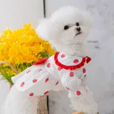 Милая клубника для принцессы, летнее тонкое платье, домашний питомец