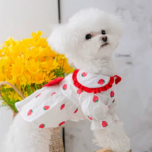 Милая клубника для принцессы, летнее тонкое платье, домашний питомец