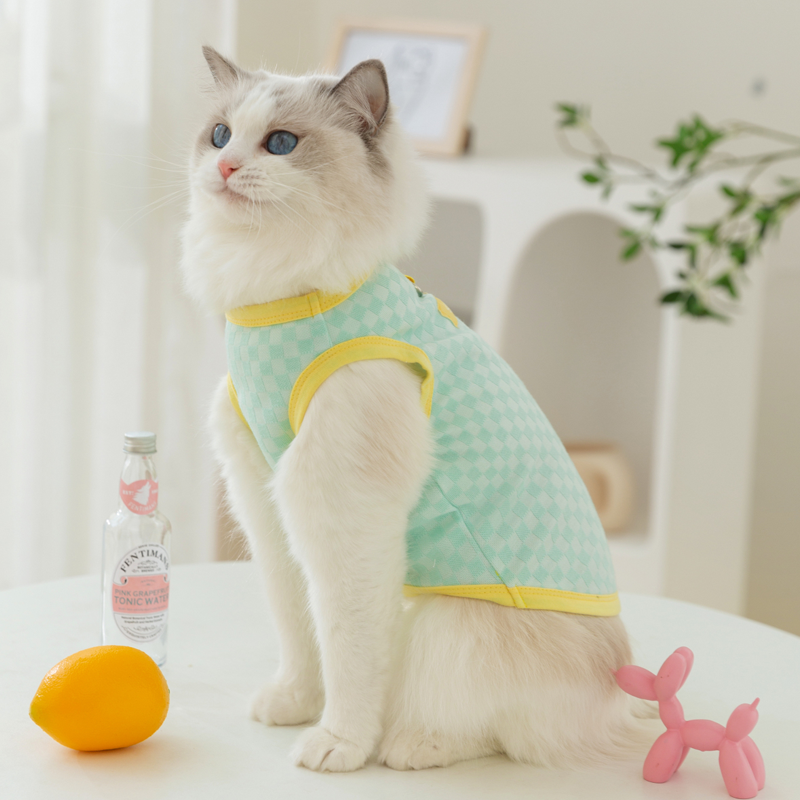 小猫咪衣服夏季薄款宠物布偶蓝猫防掉毛猫猫幼猫小奶猫背心夏天 - 图3