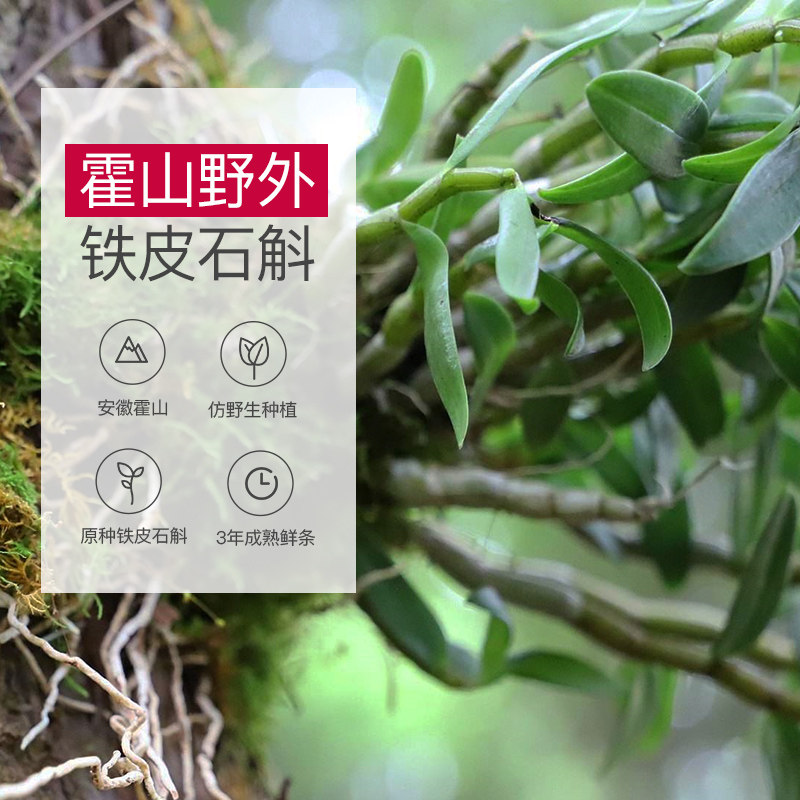 余仁生安徽霍山铁皮正品特级粉枫斗 余仁生石斛/枫斗