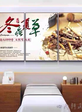 中药材挂画装饰画滋补品海报冬虫夏草人参鹿茸当归贴画宣传画