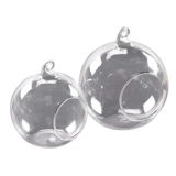 Прозрачная стеклянная бутылка микроамбэпля является гидропонным растением