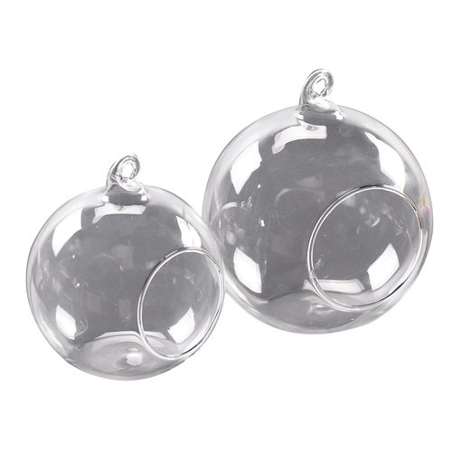 Прозрачная стеклянная бутылка микроамбэпля является гидропонным растением