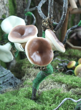 造景装饰的可爱小蘑菇可插可摆