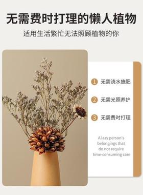 奶油风客厅干花花瓶插花斗柜摆件高级感小众玄关电视柜餐桌装饰品