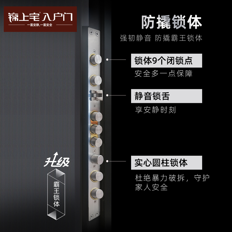 锦上宅 甲级智能防盗进户门入户大门指纹智能入户门DMR-001 - 图3