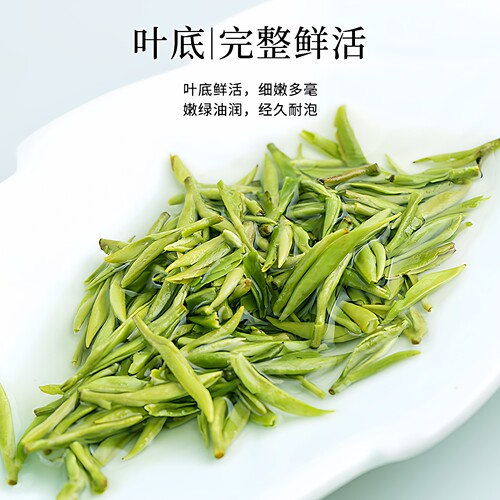 蒙顶甘露特级绿茶2026新茶四川雅安跃华蒙顶山茶叶毛峰毛尖礼盒装 - 图3