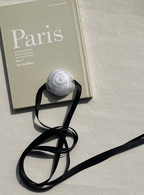 色锁骨链玫瑰花颈链choker晚宴