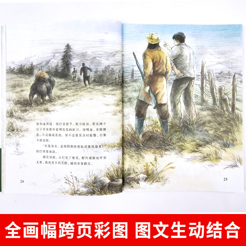 沈石溪动物小说全集十大经典必读正版珍藏版全套画本系列儿童文学最后一头战象狼王梦斑羚飞渡小学生三四五六年级课外阅读书籍推荐 - 图0