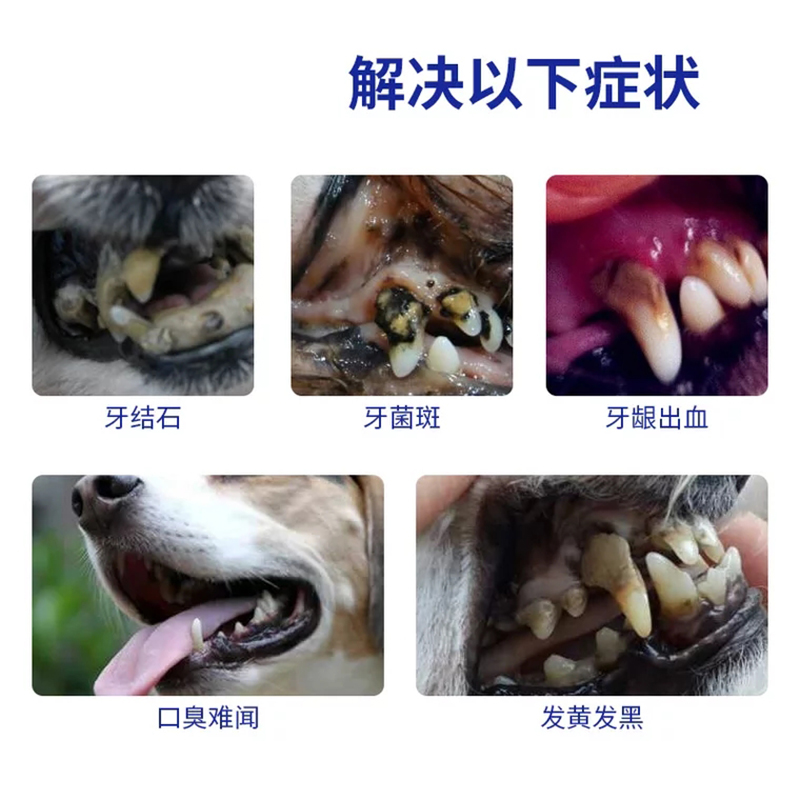 博乐丹洁牙粉猫咪狗狗去牙结石除狗口臭清洁牙齿无需刷牙40g装 - 图2