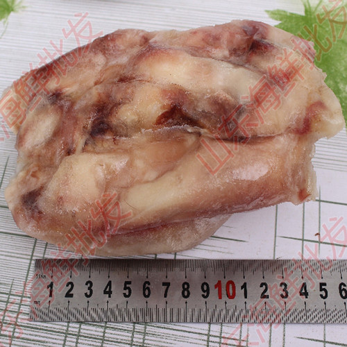 冷冻 骆驼掌 整只骆驼掌 去皮去毛 一个约1.3斤 包邮全国 带手续 - 图1