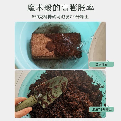 进口压缩椰砖有机营养土椰糠椰壳土养花种菜多肉土壤低盐无菌通用 - 图2