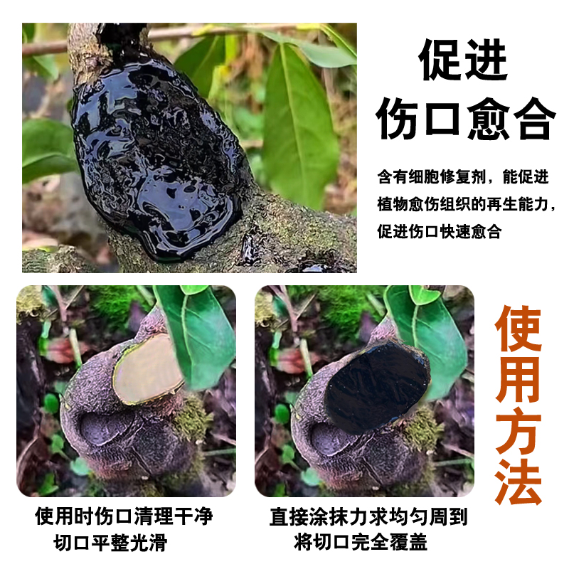 树木伤口嫁愈合剂树干金弹子盆景黑色涂膜剂专用切口修复树涂抹膏 - 图2