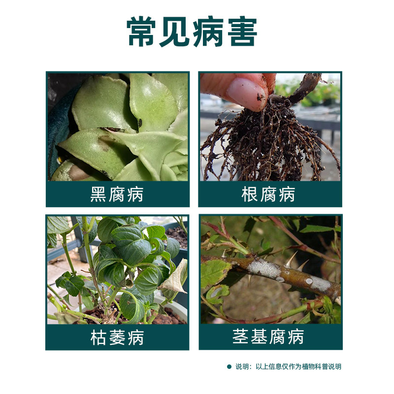 千百季小黑药精甲恶霉灵多肉月季黑杆烂根花卉枯萎土壤消毒杀菌剂,淘宝优惠券,粉丝福利购,淘宝优惠卷