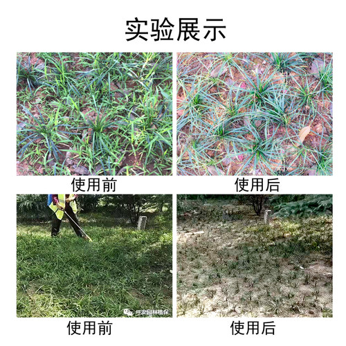 坪安爱麦盛农药除草剂玉龙净日本矮麦冬玉龙草鸢尾禾阔莎杂草全除 - 图2