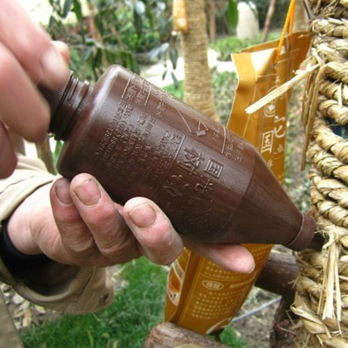 国光树动力大树木营养液吊瓶植物移栽吊针袋果树苗输液发芽生根剂 - 图2