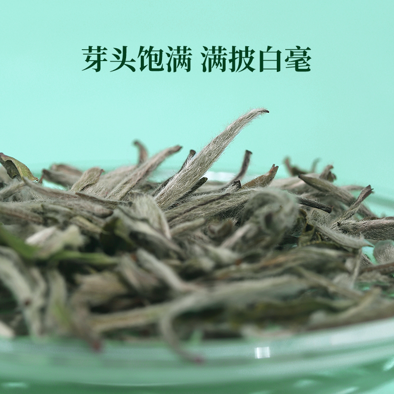 品品香茶叶福鼎白茶2021年明前白毫银针茶50g罐装-图1