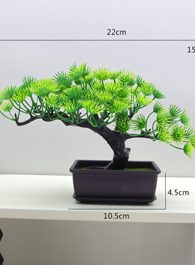 桌面摆设小清新装饰客厅仿真植物