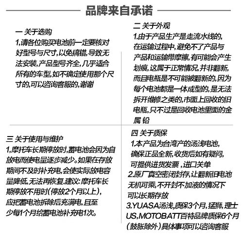 维斯帕VESPA GTS300 GTS250 GTV300 RAGT150 比亚乔X7电瓶蓄电池 - 图2