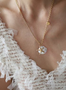 欧美度假风~海星贝壳胖大星海洋钛钢项链