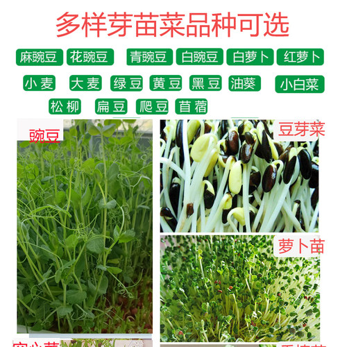 豆芽发芽盆豌豆种植芽菜豆苗芽苗菜育苗托盘无土栽培水培蔬菜设备 - 图3