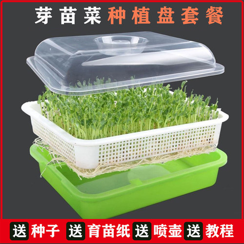 豆芽发芽盆豌豆种植芽菜豆苗芽苗菜育苗托盘无土栽培水培蔬菜设备 - 图1