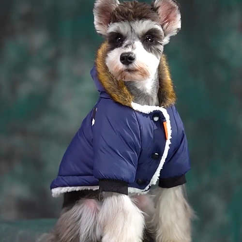 Демисезонный жилет, бархатная утепленная куртка