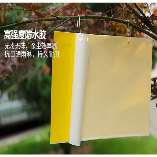 黄板双面粘虫板防水果园盆栽大棚诱虫板粘果蝇飞虫可挂式强力粘板 - 图3