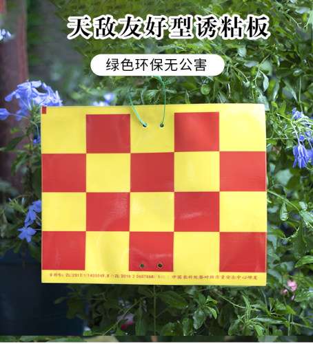 天敌友好型诱虫板茶小绿叶蝉茶树果树蔬菜红黄格双面防水诱粘板 - 图2