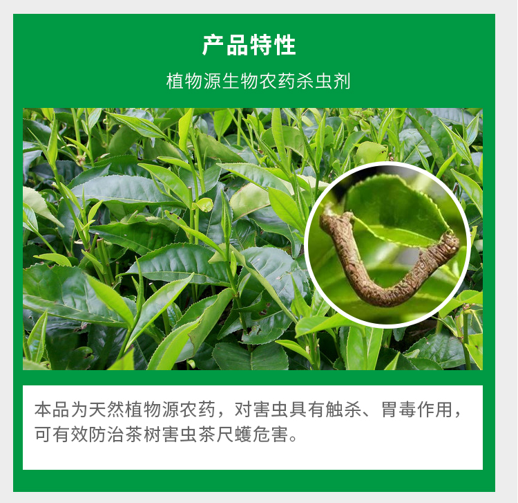 清源保 0.6% 苦参碱 茶尺蠖 植物源有机杀虫剂 - 图1