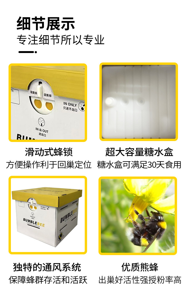 定时发货】果攸授粉熊蜂番茄茄子草莓授粉蜂 蜜蜂多地快递包邮,淘宝优惠券,粉丝福利购,淘宝优惠卷