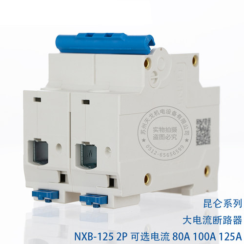 正泰昆仑 NXB-125 2P 80a100a125a 大电流断路器DZ158升级版空开 - 图2