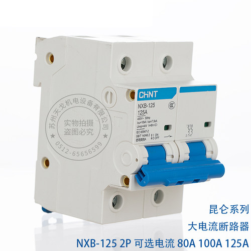 正泰昆仑 NXB-125 2P 80a100a125a 大电流断路器DZ158升级版空开 - 图0