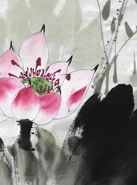 荷花蜻蜓三尺斗方字画写意花鸟