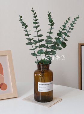 ins风仿真花尤加利叶子金钱叶北欧风格桌面假花树枝装饰拍摄道具