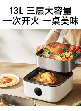 小米米家多功能电蒸锅S113L双层