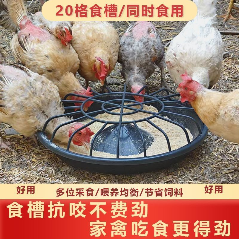 鸡鸭新款食槽喂鸡养鸡料槽自动喂食神器加厚牛筋圆形鸡鸭喂食神器 - 图1