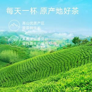 春茶预售文新信阳毛尖绿茶2023新茶茶叶雨前特级嫩芽密封罐20g