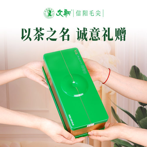 春茶上市文新信阳毛尖茶绿茶茶叶2026新茶特级修道120g礼盒装 - 图0