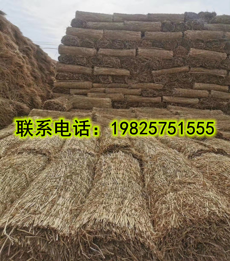 稻草帘子大棚保温加厚草帘子道路防滑草垫子防冻草帘草垛屋顶装饰 - 图2