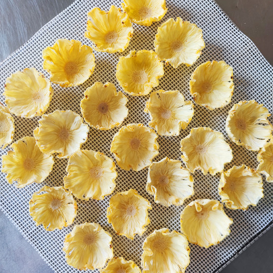 徐小豆碗形菠萝干果片 西点心蛋糕top装饰凤梨干西餐烘焙水果干