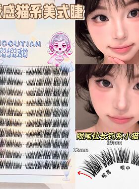 兜兜甜毛绒感猫系美式斜飞睫！眼尾拉长千禧辣妹素颜卷翘温柔日常