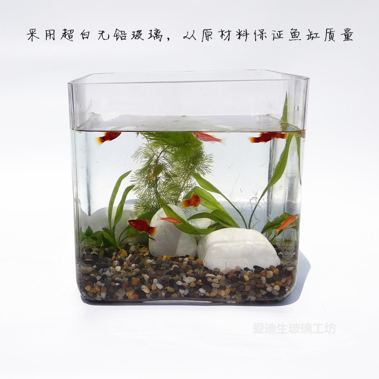 正方形玻璃鱼缸无粘接办公桌面小鱼缸简约水草缸超白玻璃乌龟缸 爱迪生玻璃工坊 淘优券