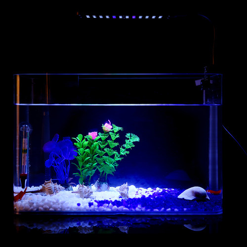 小胖温度计 鱼缸乌龟缸玻璃水温计 水族箱温度计不沉底双层玻璃 - 图3