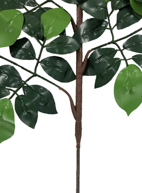 新品仿真植物金钱叶7叉枝香樟树叶灌木叶杜鹃叶四季绿植装饰直销