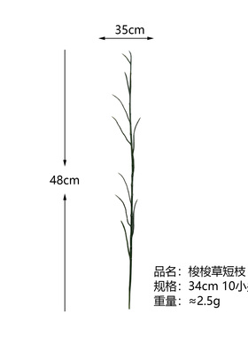 仿真假树叶问荆叶单枝梭梭草叶香附子沙漠盆景植物创意厂家直销
