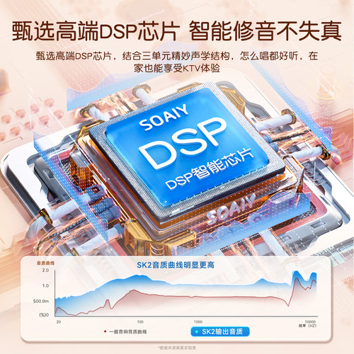 索爱SK2蓝牙音箱家用k歌音响儿童话筒麦克风户外唱歌小型家庭ktv - 图1
