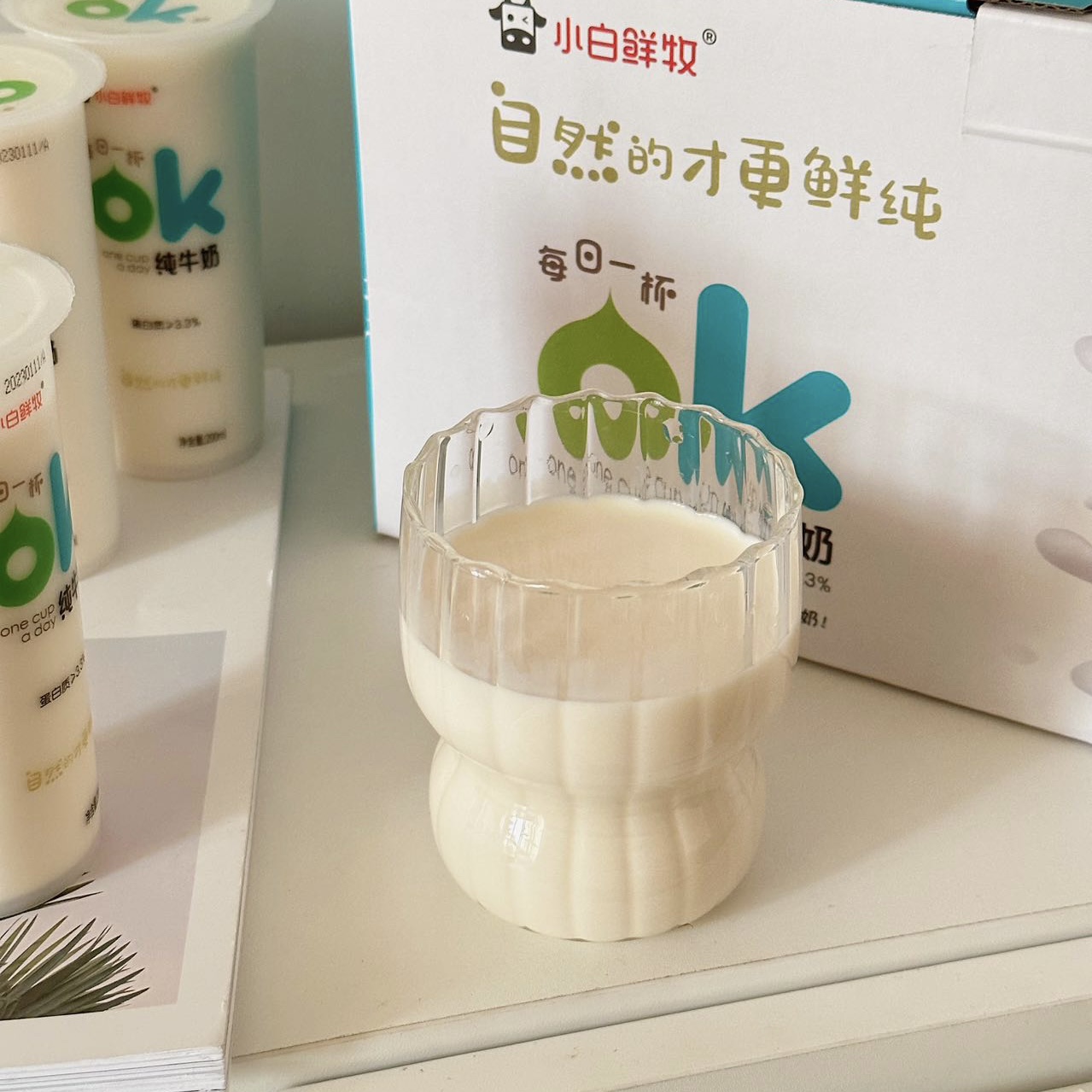 小白鲜牧·OK纯牛奶早餐儿童奶牛奶方便一箱10杯装鲜奶200ml包邮 - 图1