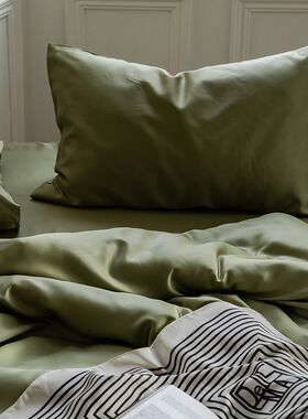 夏季60支兰精天丝四件套冰丝裸睡床单被套纯色轻奢高级感床上用品